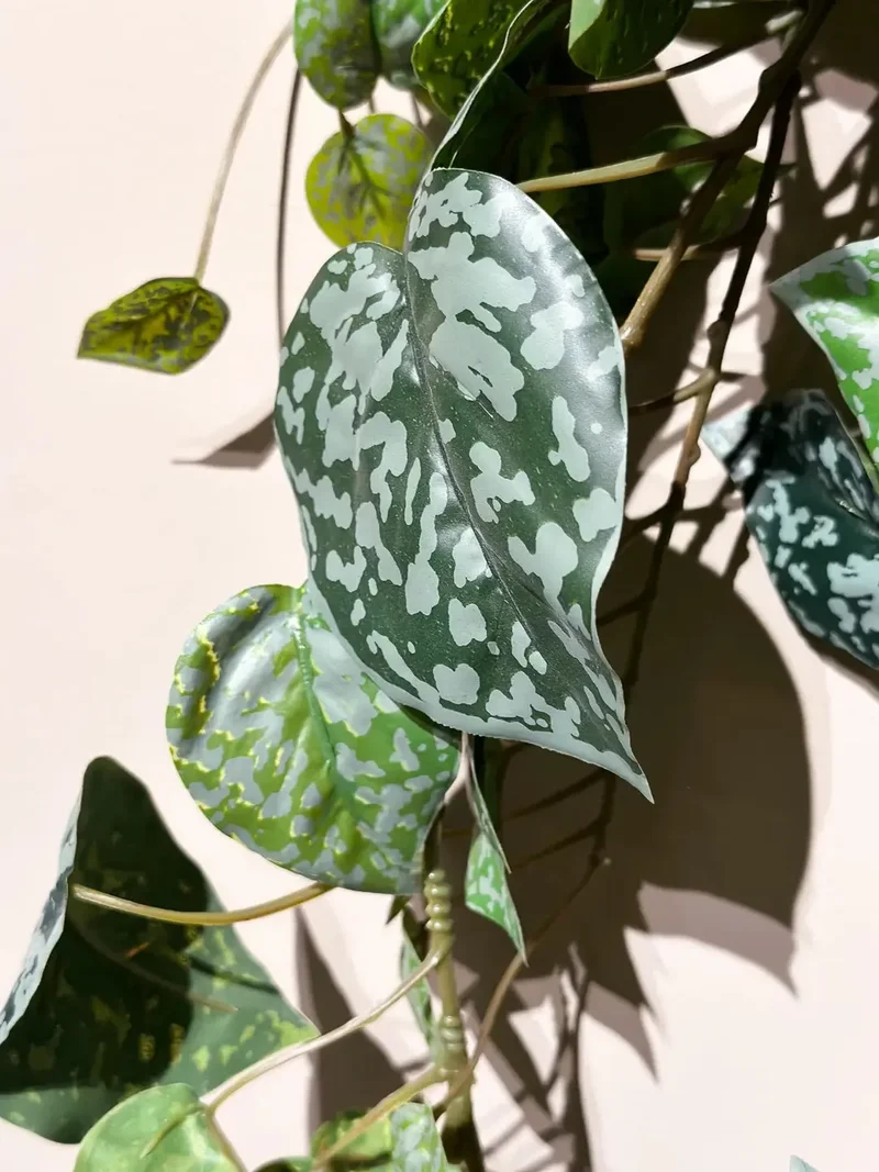 Künstliche Scindapsus pictus - Rudi | 90 cm