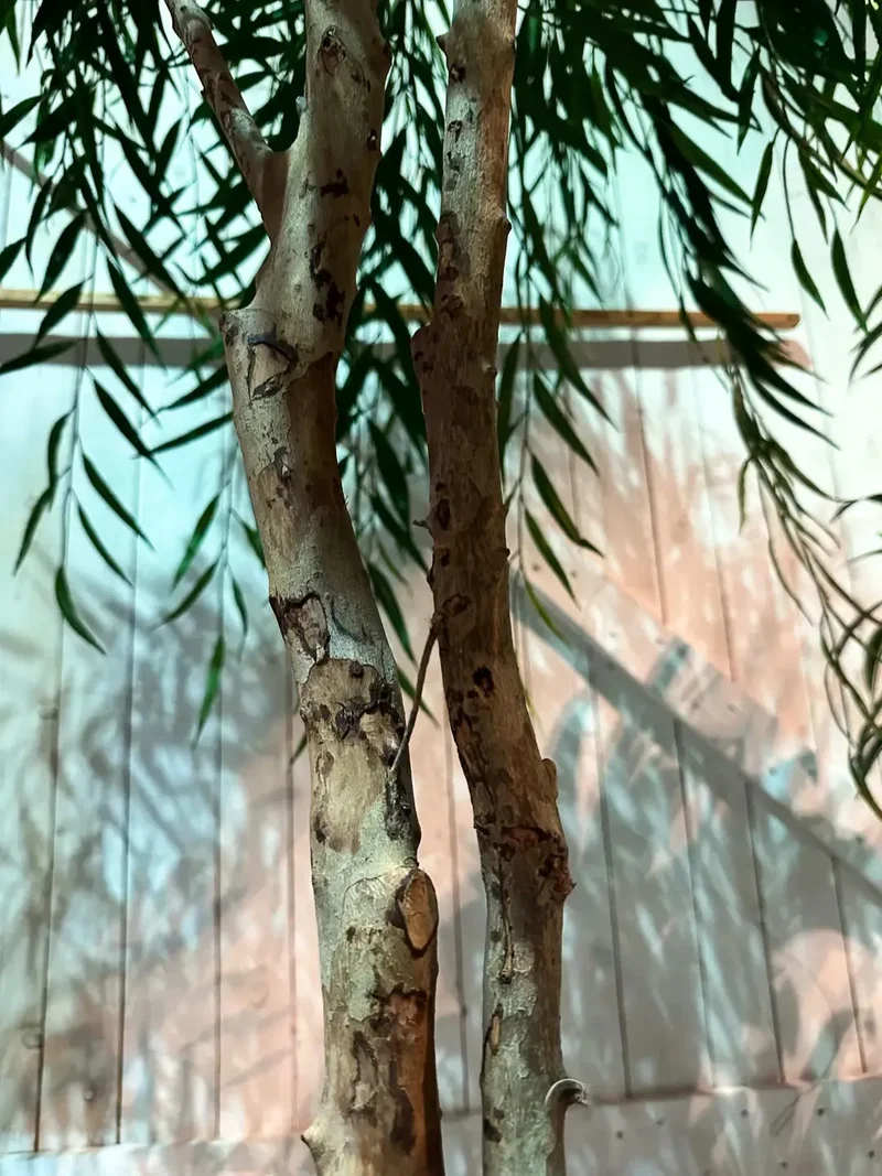 Künstliche Weide - Pepe | 240 cm