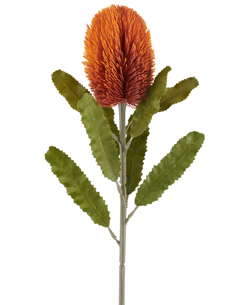 Künstliche Blume Banksia 65 cm alt orange