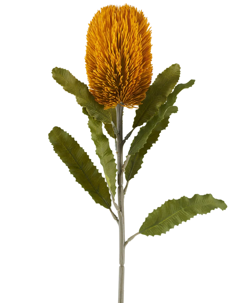 Künstliche Blume Banksia 65 cm Senf
