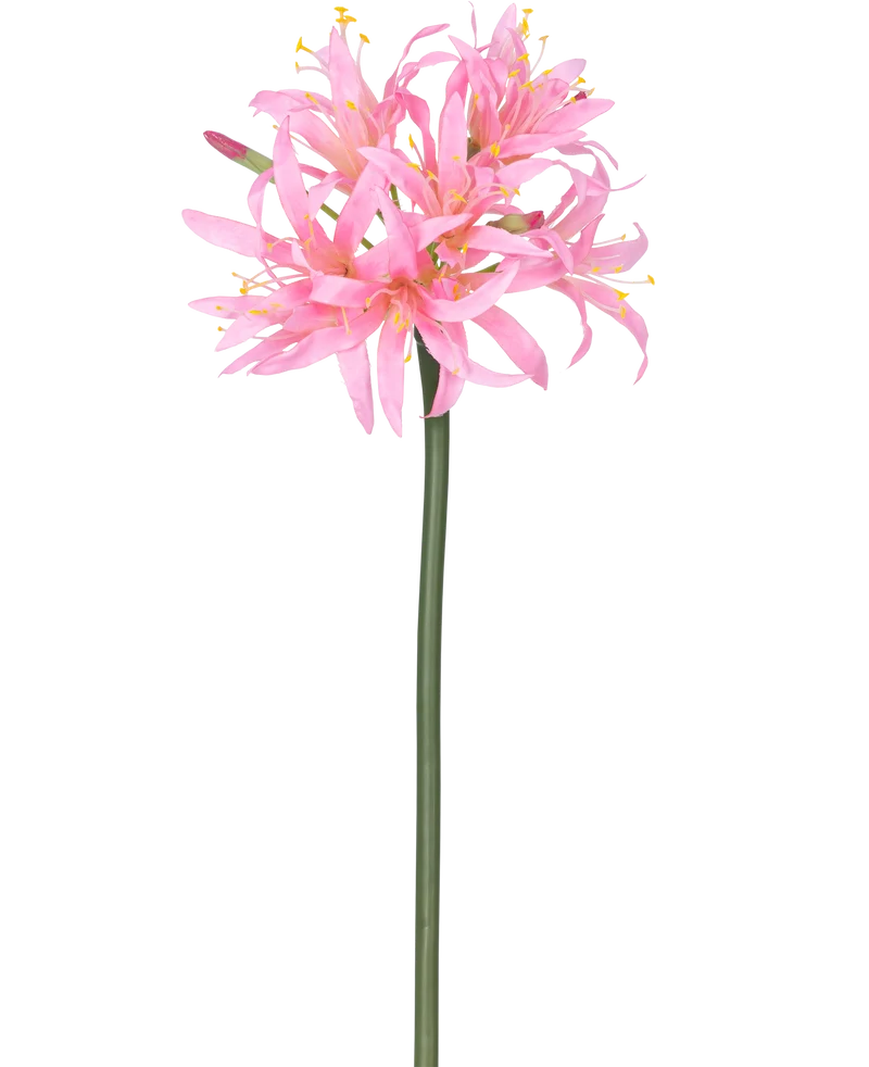 Künstliche Blume Nerine 70 cm rosa