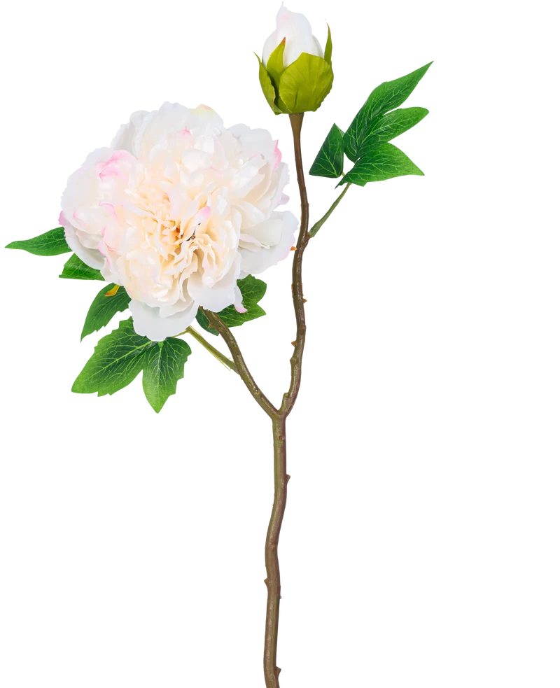Künstliche Blume Pfingstrose 50 cm weiß