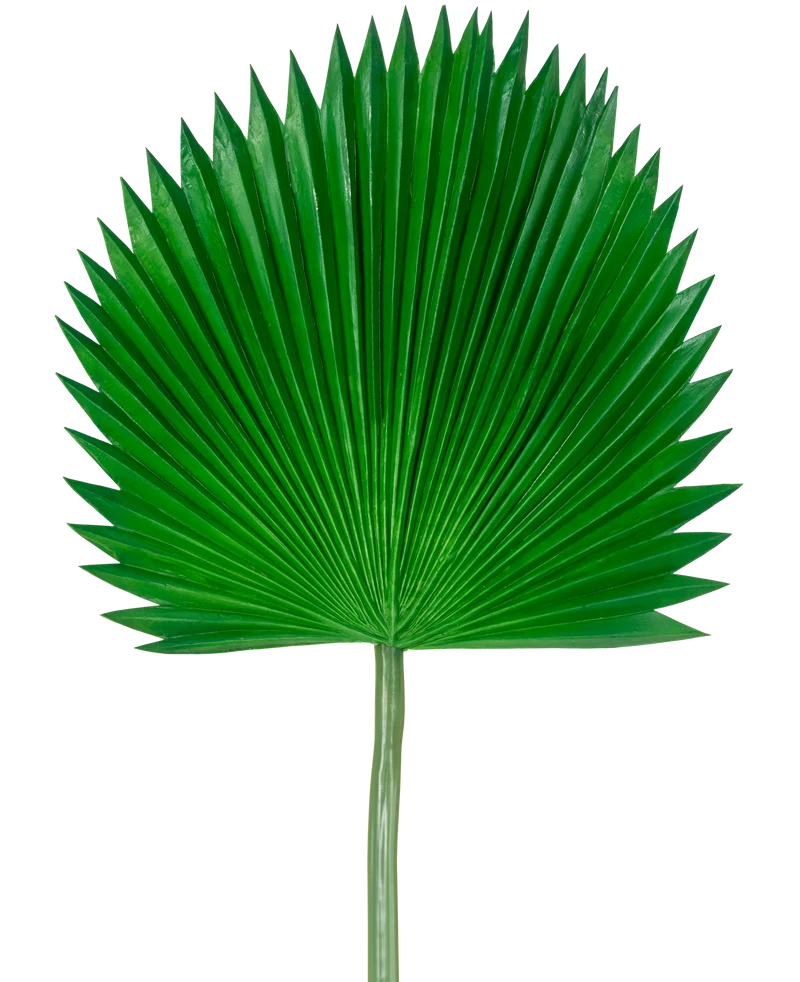 Künstliches Blatt Washingtonia 105cm