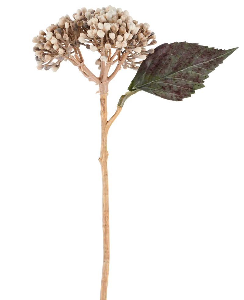 Künstliche Blume Getrocknete Hortensie 38 cm creme/braun