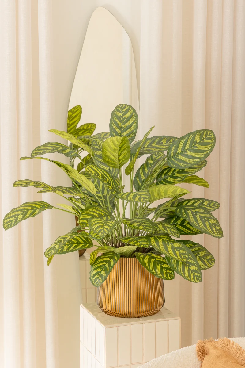 Calathea Kunstpflanze 75cm