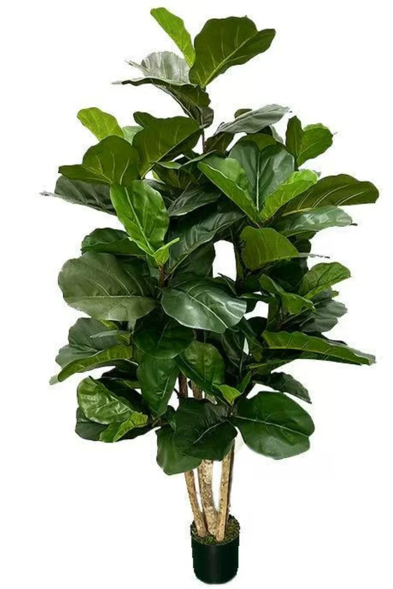 Ficus Kunstpflanze 180cm