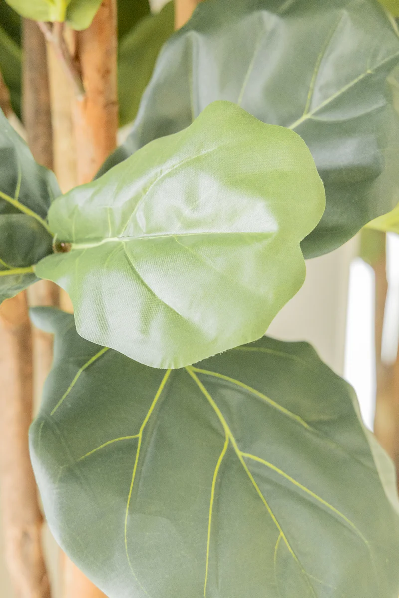 Ficus Kunstpflanze 180cm