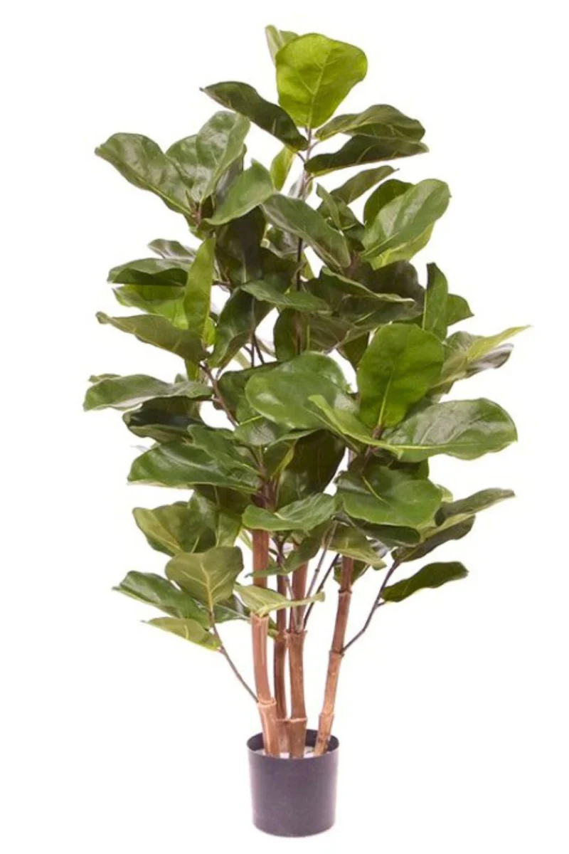 Ficus Kunstpflanze 120cm