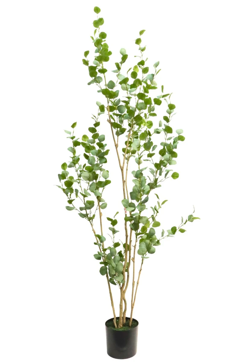 Eukalyptus Kunstpflanze 210cm
