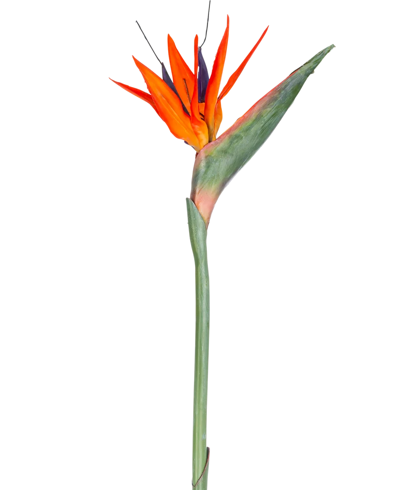 Künstliche Blume Strelitzia 86 cm rot/violett