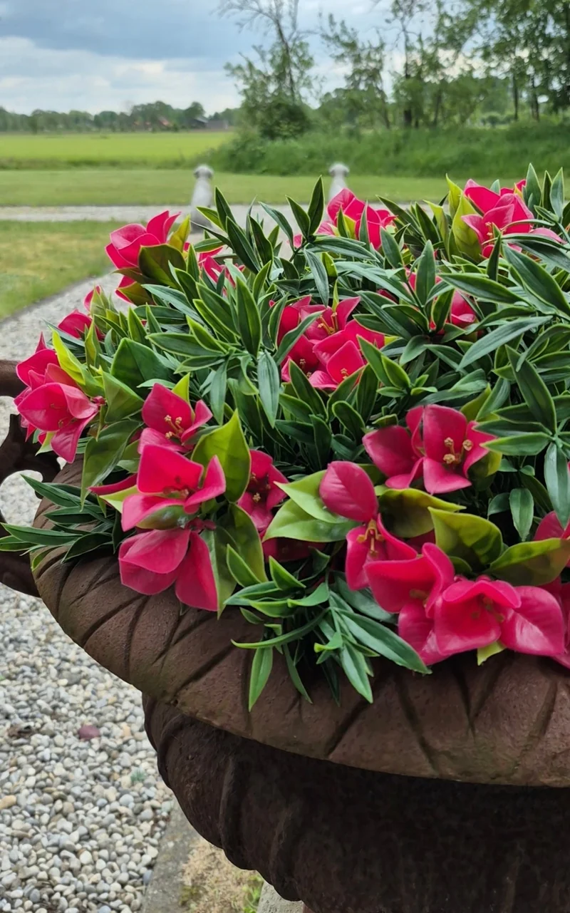 Ruscus kunstplant UV 35 cm