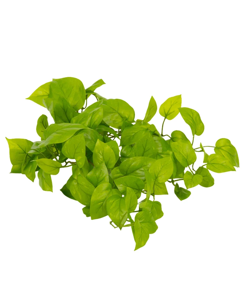 Kunst Pothos Struik Deluxe 60cm