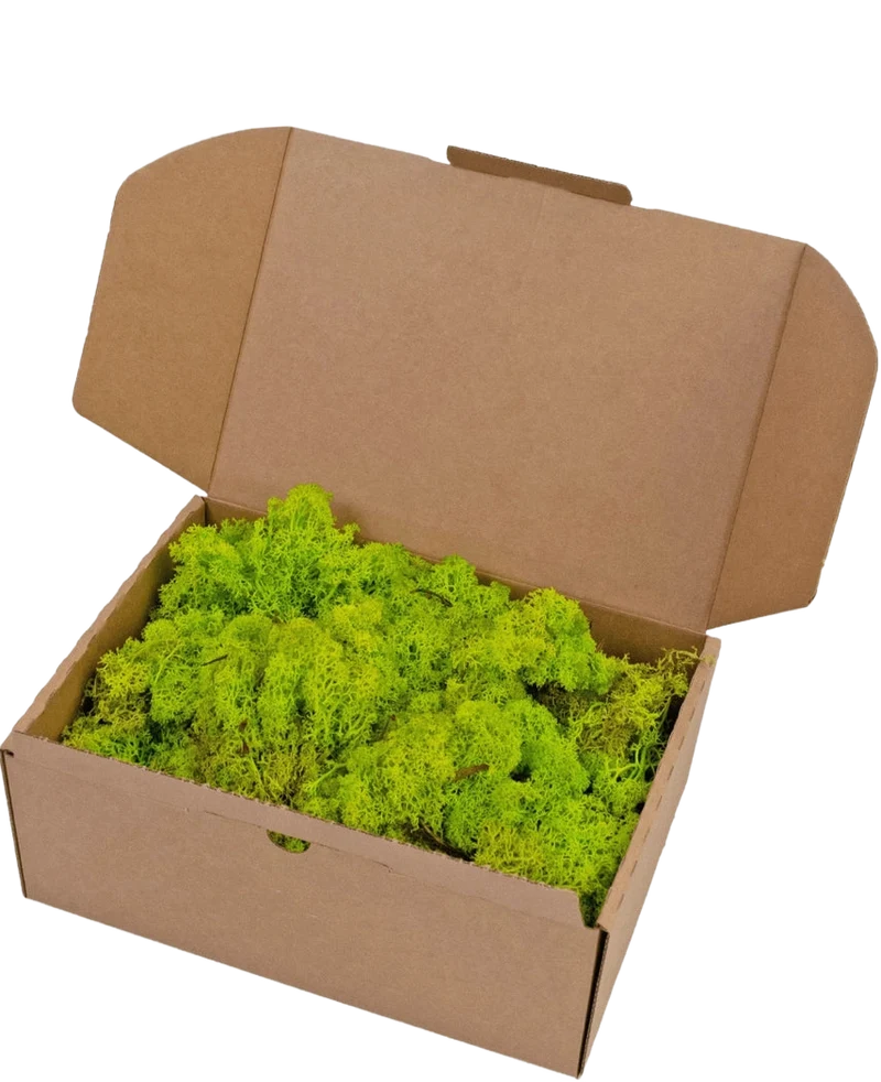 Rendier Mos Spring Green 500 gram