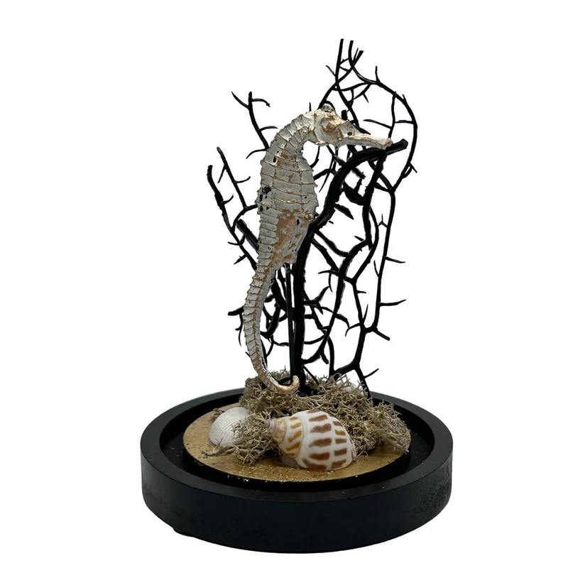Seepferdchen-Skulptur aus Glas mit Holzsockel