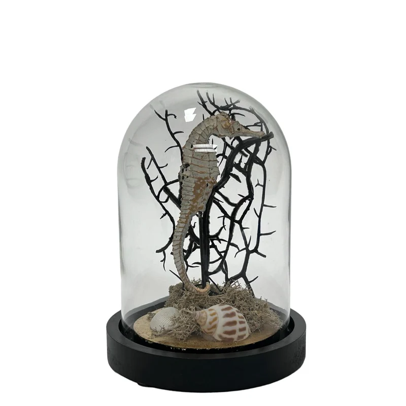 Seepferdchen-Skulptur aus Glas mit Holzsockel