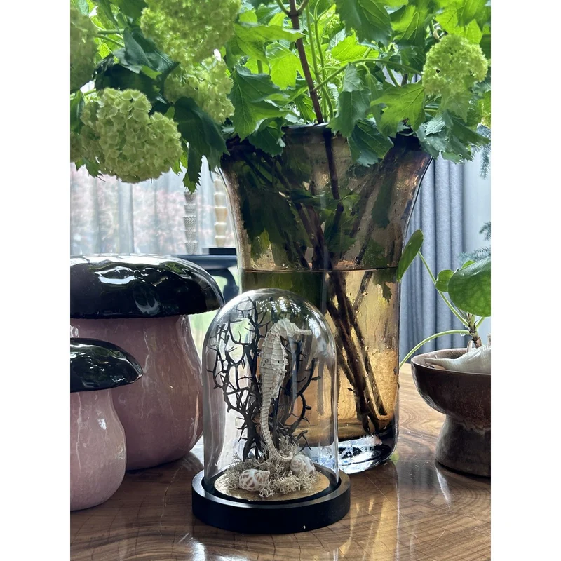 Seepferdchen-Skulptur aus Glas mit Holzsockel