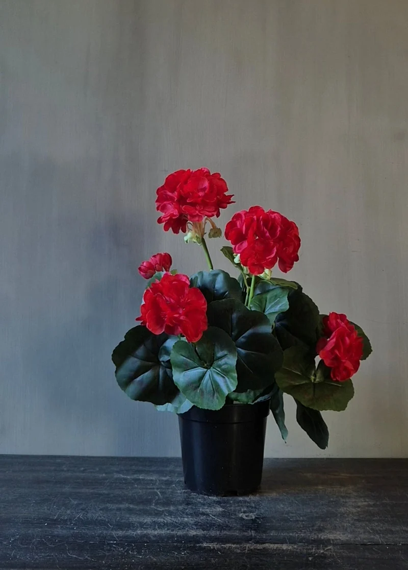 Geranium kunstplant rood in binnenpot - 33 cm