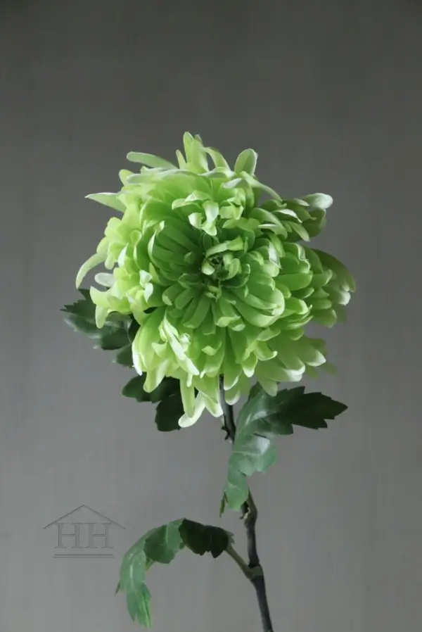 Spider mum kunstbloem groen - 61 cm