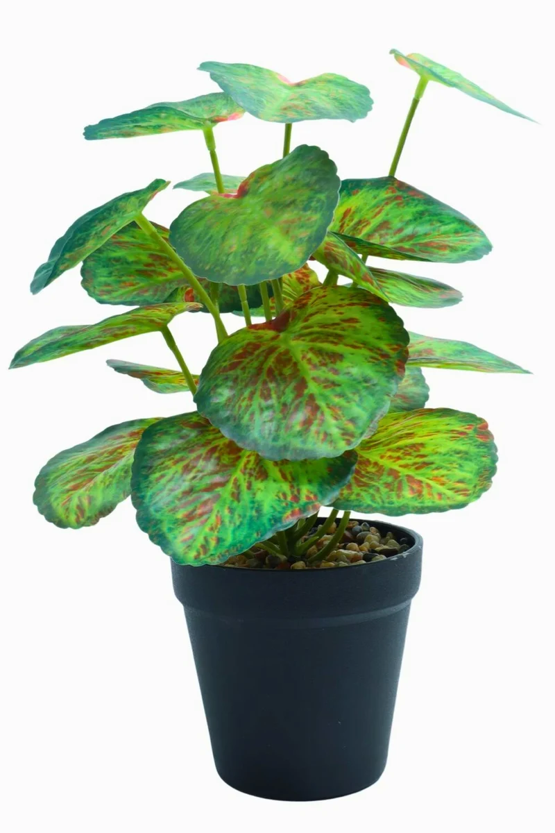 Taro Kunstpflanze 32 cm