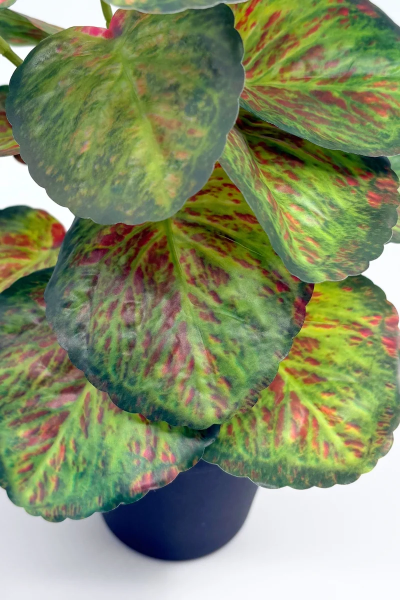 Taro Kunstpflanze 32 cm