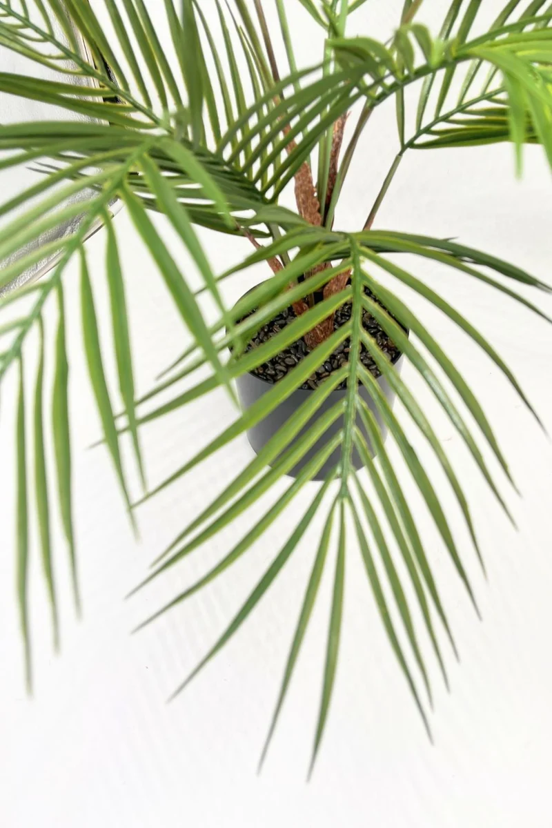 Palme Kunstpflanze 80cm UV