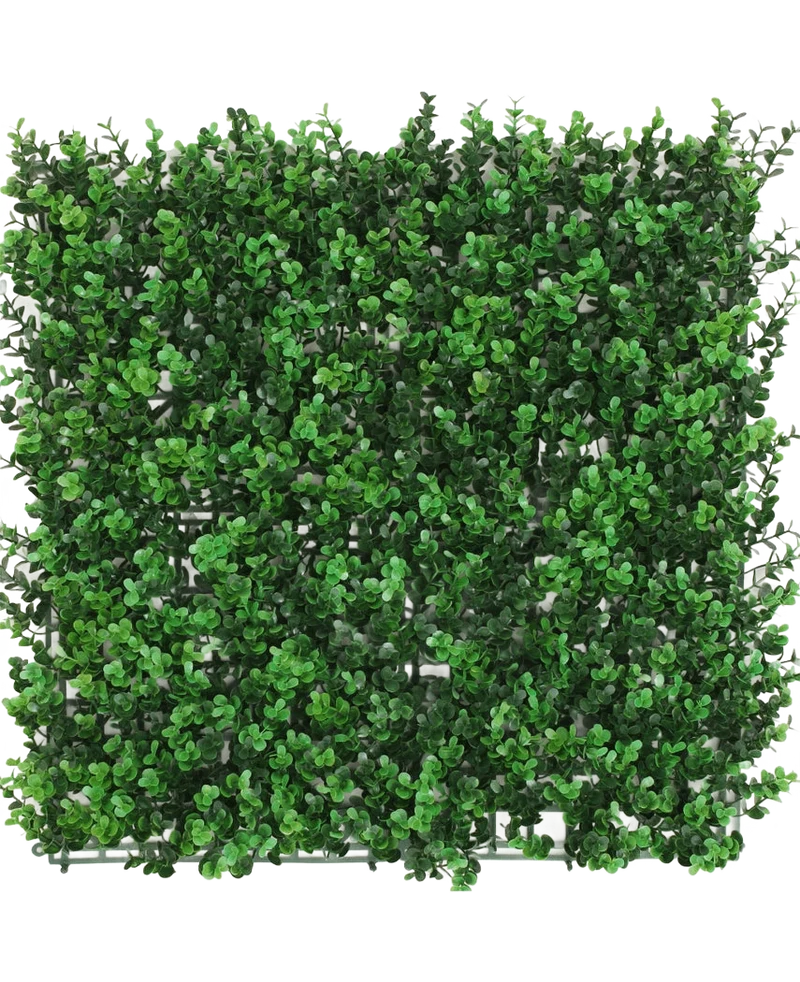 Kunstpflanzen Wand Buxus grün 50x50 cm UV