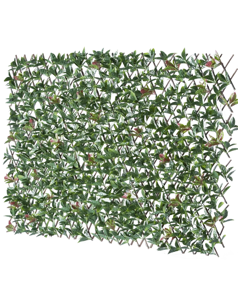 Künstliche Hecke Photonia ausziehbar 200x100 cm