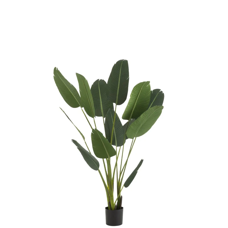 Kunstpflanze Strelitzia in Grün, 190 cm