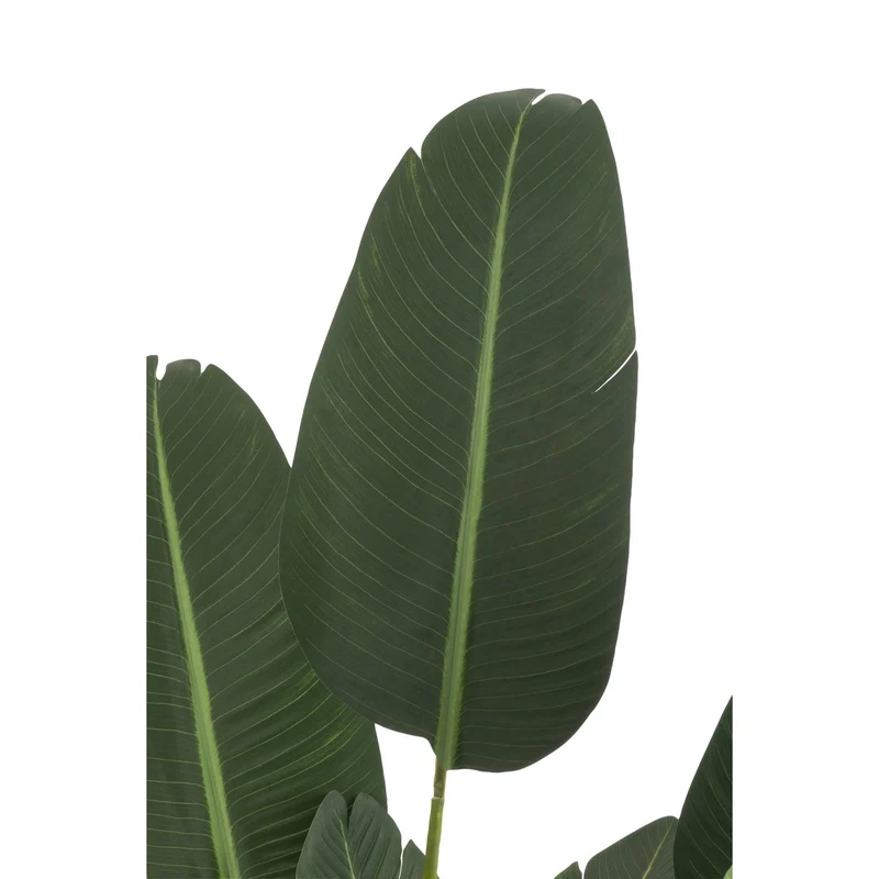 Kunstpflanze Strelitzia in Grün, 190 cm