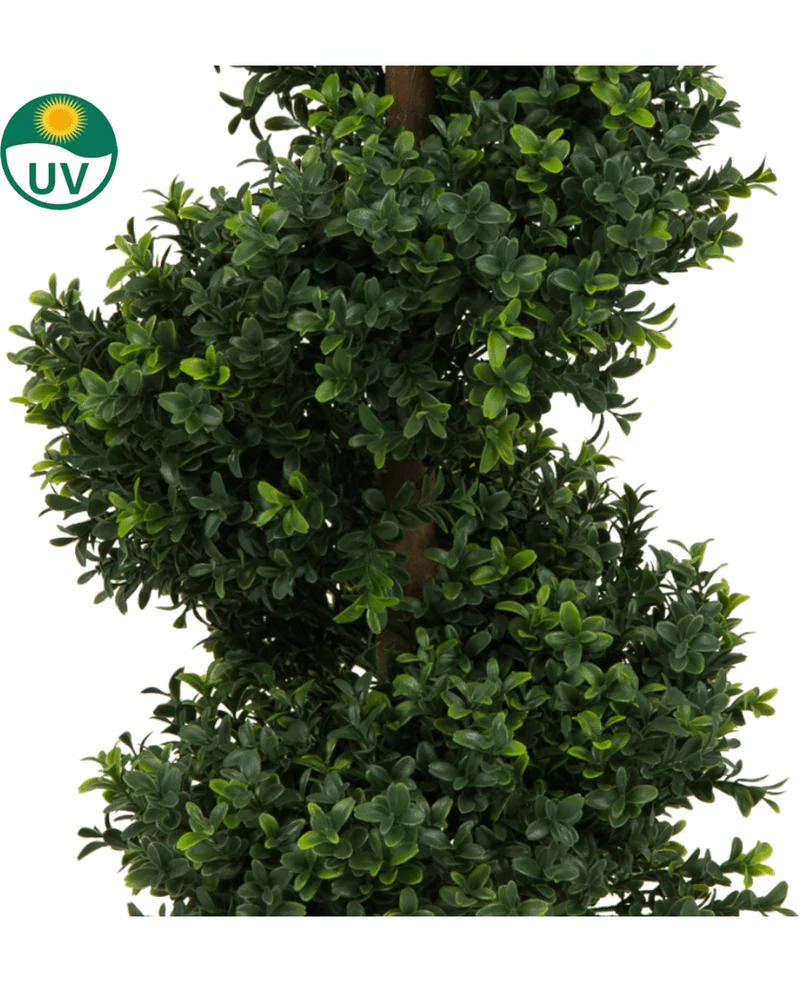Kunst Buxus Spiraal Romeinse stijl UV 90cm
