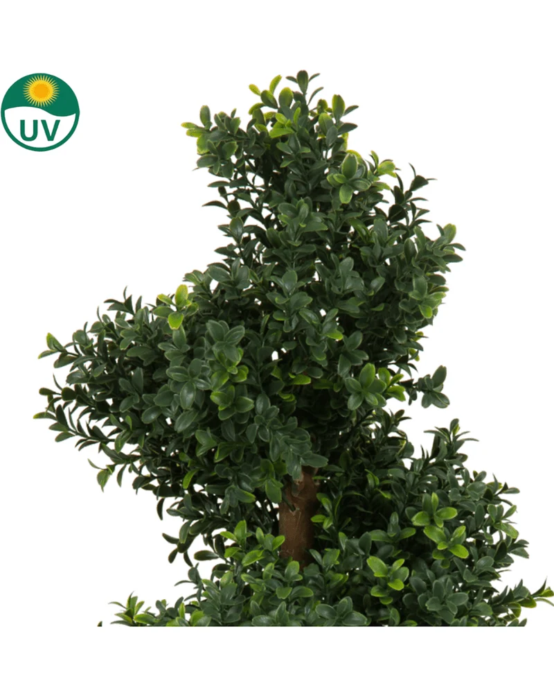 Kunst Buxus Spiraal Romeinse stijl UV 90cm