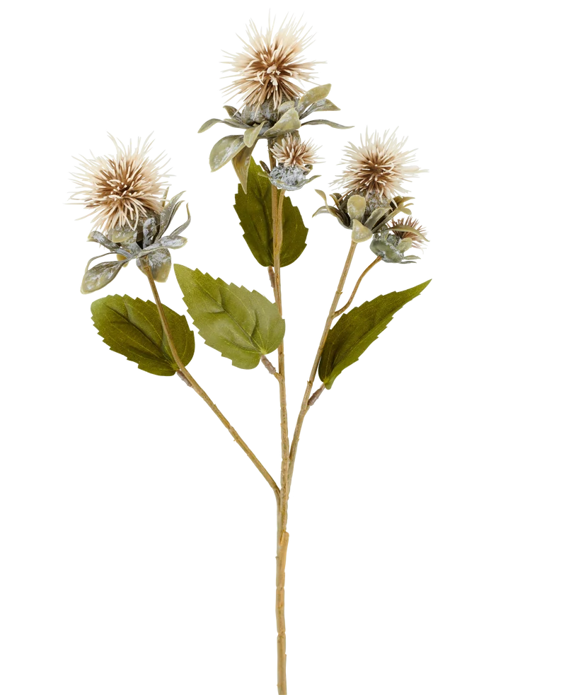 Künstliche Blume Färberdistel 57 cm creme/braun