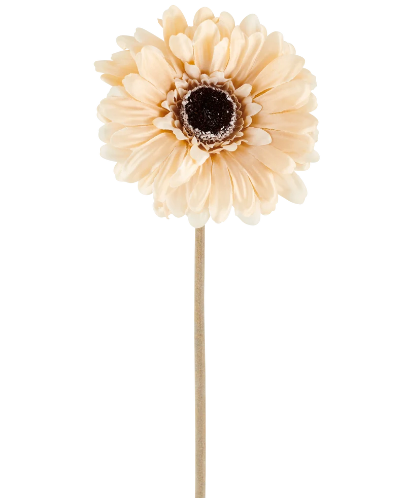 Künstliche Blume Gerbera 53 cm creme/braun