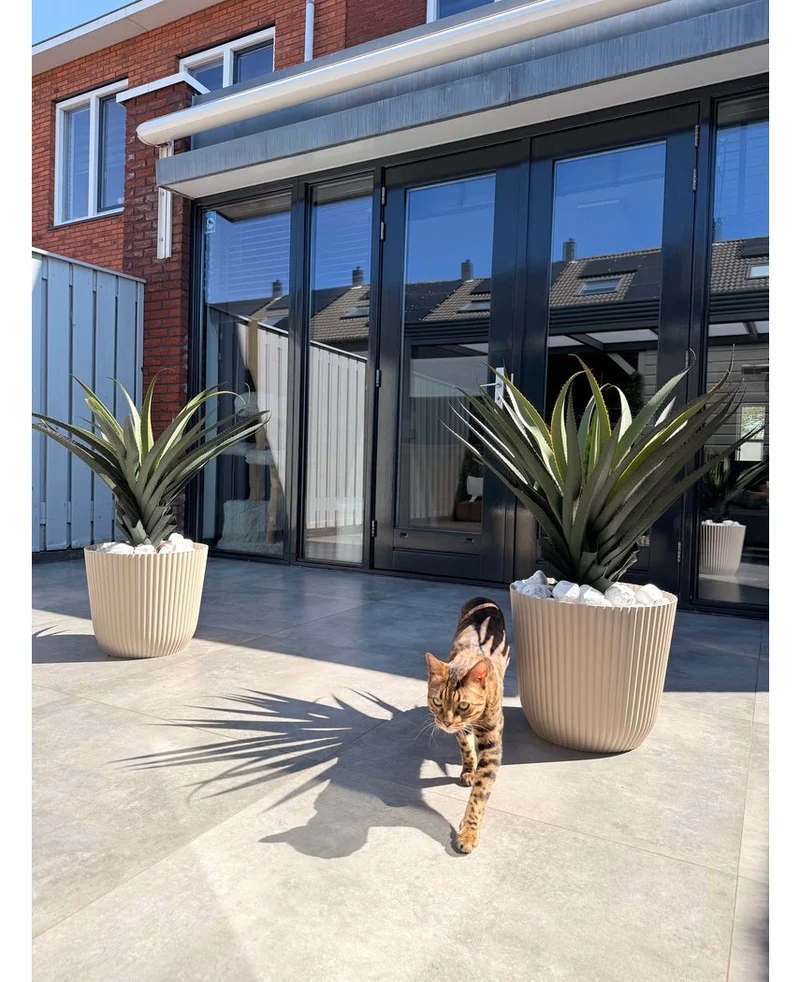 Künstliche Pflanze Agave Pandora 85 cm UV