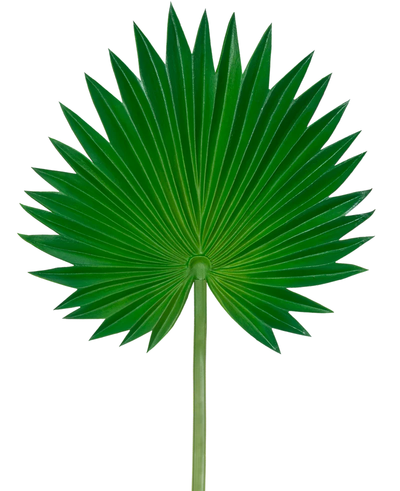 Künstliches Blatt Washingtonia 73cm