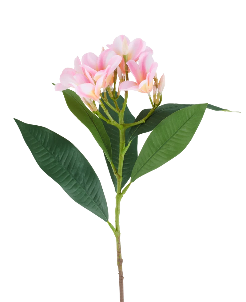 Künstliche Blume Plumeria 75 cm rosa/creme