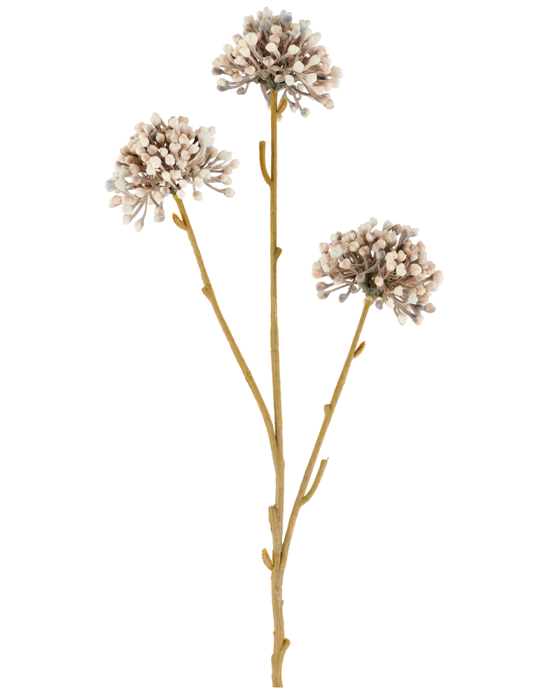 Künstliche Blume Mini Allium 60 cm creme/braun