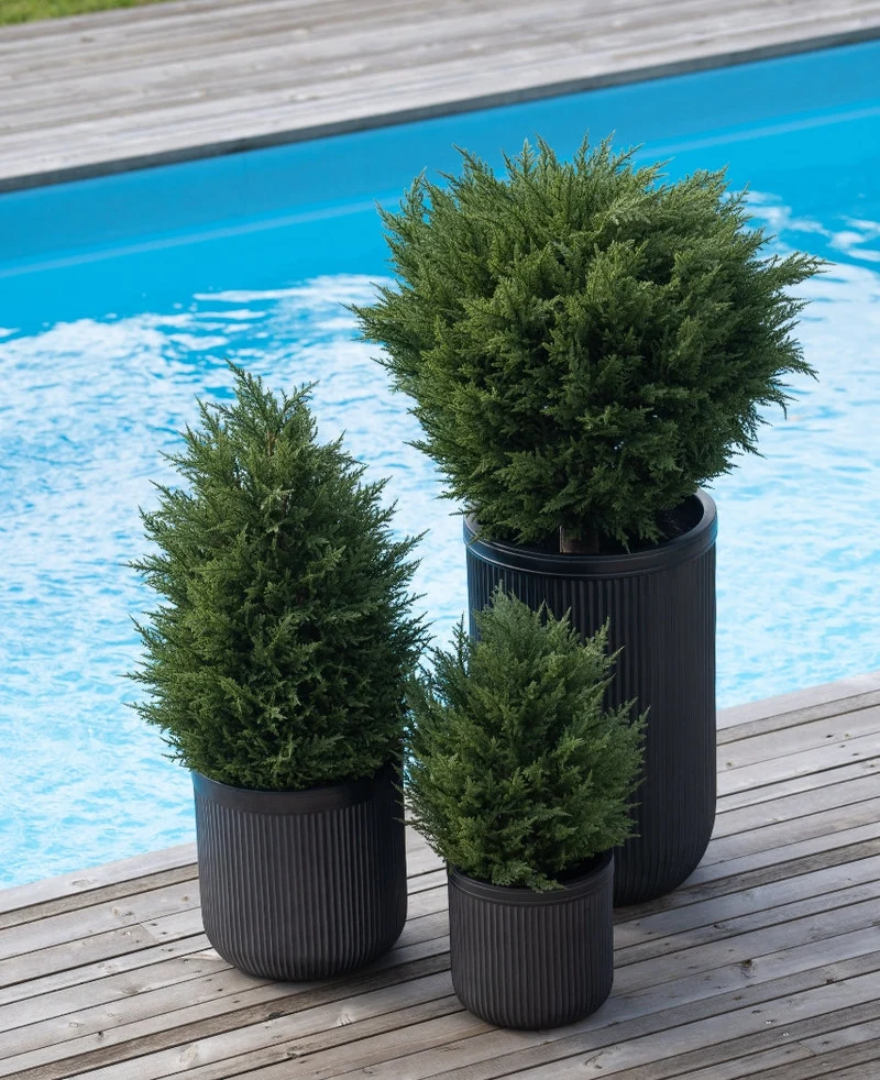 Kunstpflanze Konifere deluxe 60 cm UV