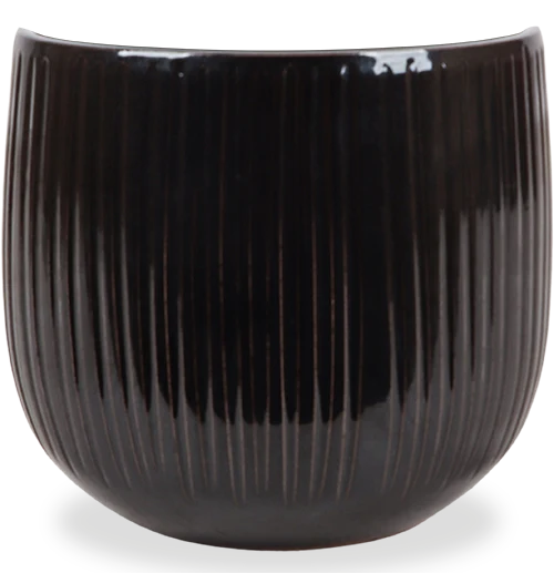 Pablo (21cm)