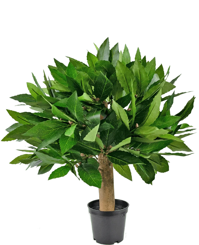Künstliche Pflanze Lorbeer 33 cm UV