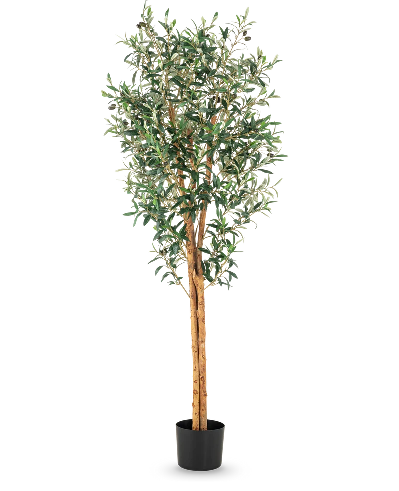 Künstlicher Olivenbaum 160 cm UV