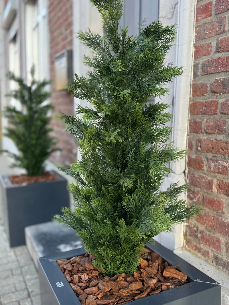 Pino UV 120cm