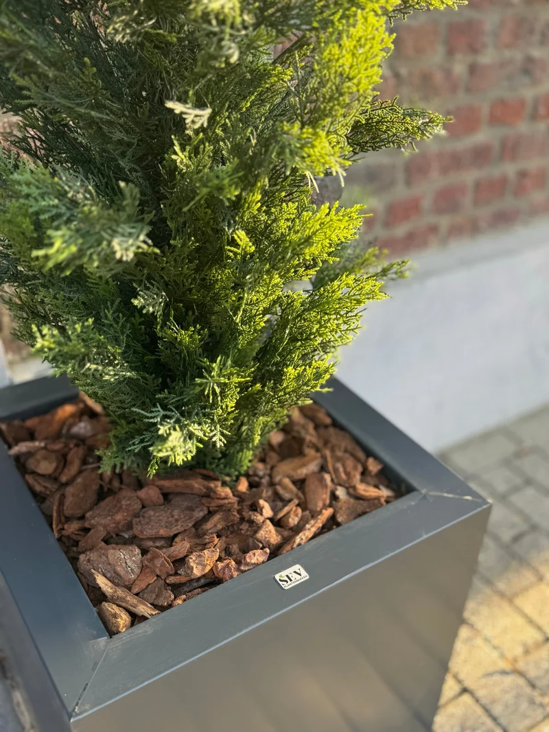 Pino UV 120cm