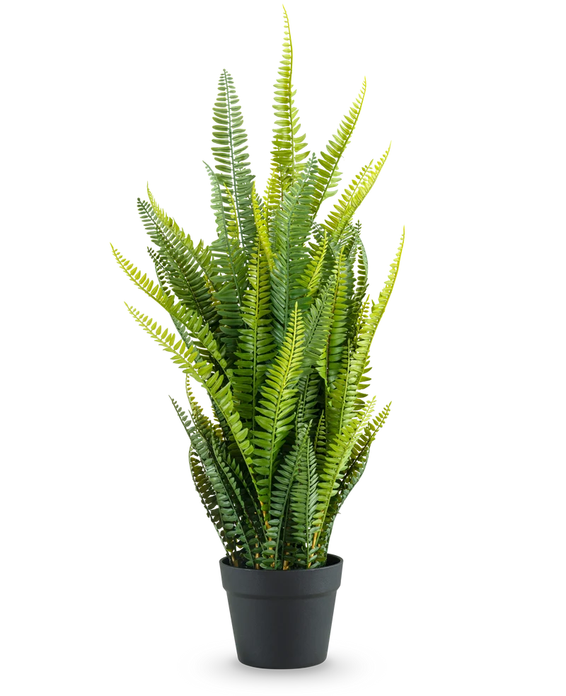 Künstliche Pflanze Boston Farn 86 cm