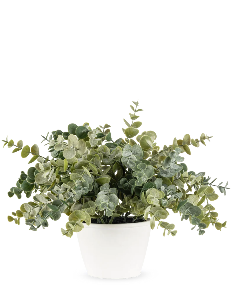 Künstliche Pflanze Eukalyptus 23 cm