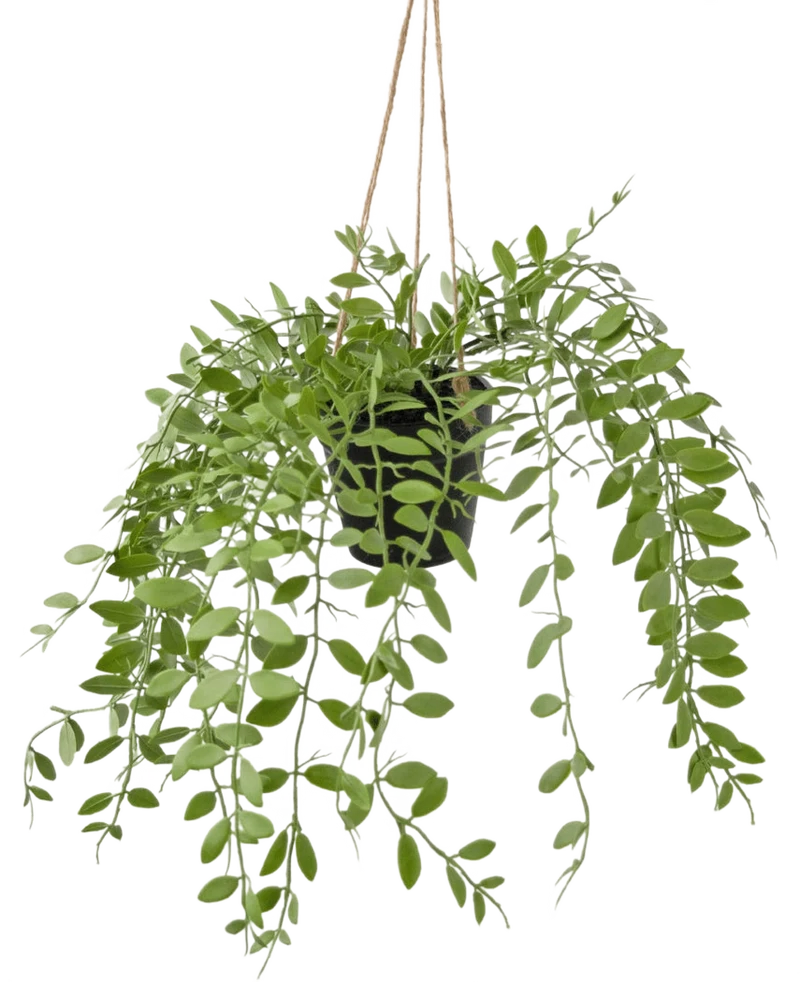 Künstliche Hängepflanze Pumila im Topf 30 cm