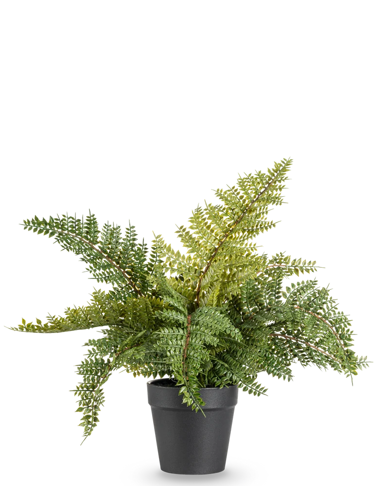 Künstliche Pflanze Farn 33 cm