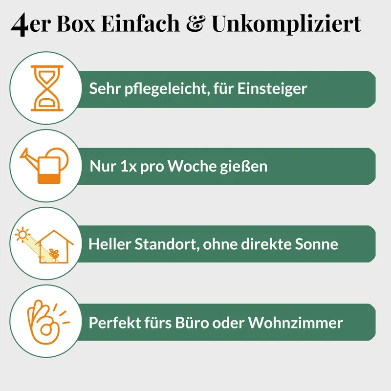 4er Box Einfach & Unkompliziert