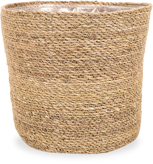 Igmar (30cm)