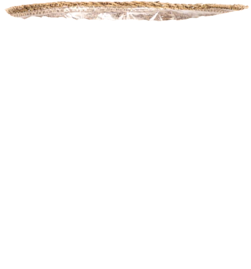 Igmar (22cm)